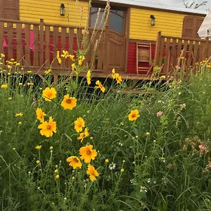 La Roulotte De L'ami Nature Barrais-Bussolles